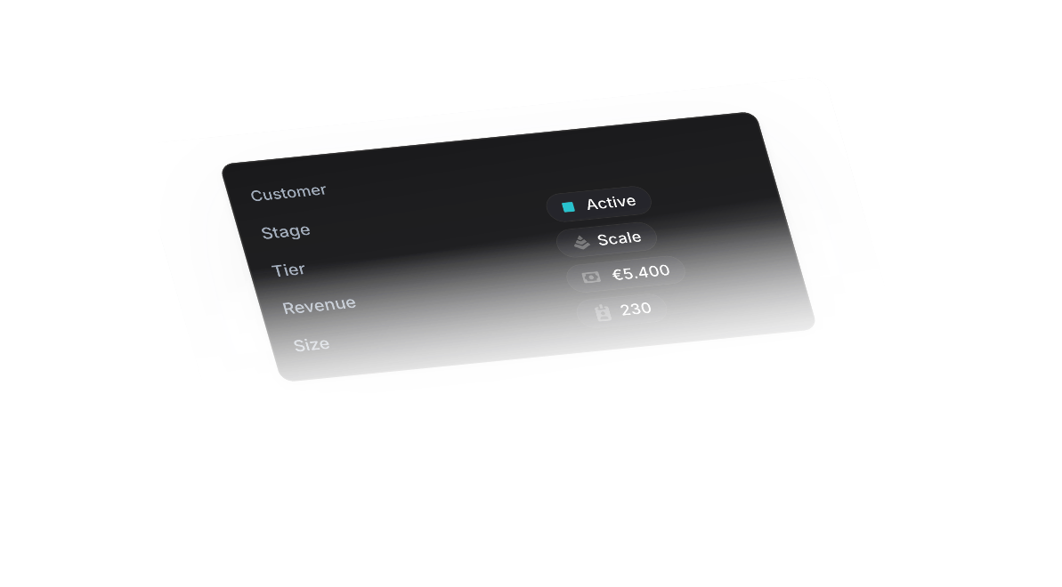 Customer details card showing Active status, Scale plan, revenue, and size